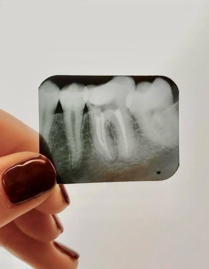 WhatsApp Image 2026-02-19 at 10.37.06 PM (2)